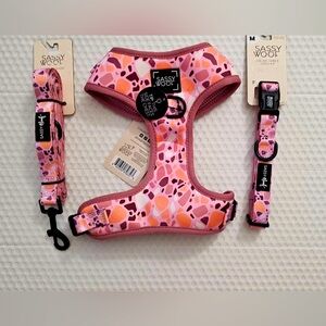 Sassy Woof Terrazzo Harness, Collar & Leash Set (S)